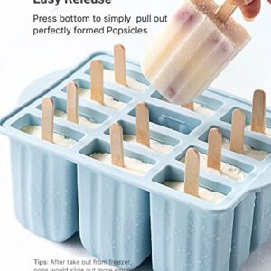 Popsicles Molds, MEETRUE 12 Pieces Silicone Popsicle Molds Easy-Release BPA-free Popsicle Maker Molds Ice Pop Molds Homemade Popsicle Ice Pop Maker with 50PCS Popsicle Sticks+Cleaning Brush