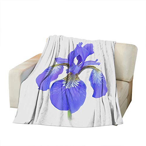 Beabes Iris Flower Warm Throw Blanket Blossom Blue Purple Flora Horticulture in White Realistic Style Throw Blanket for Bedroom Sofa Couch Car Deck Chair Soft Flannel Fleece Adults 60x80 Inch