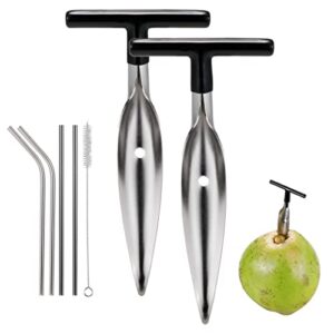 2 pack coconut opener tool set with 4 reusable straws & brush, food grade stainless steel coco nut bottle opener for young thai green fresh coconut water, safe and convenient coco drill punch tool