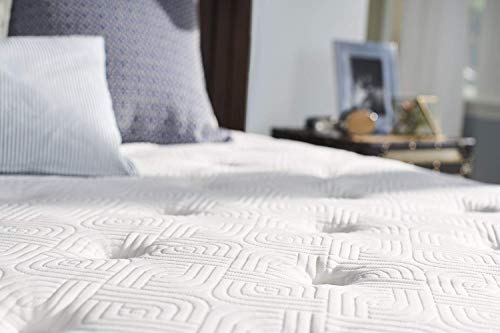 Sealy Essentials Spring Winter Green Euro Pillowtop Bed Mattress Conventional, Twin XL, White