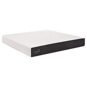 cocoon by sealy firm foam mattress, queen