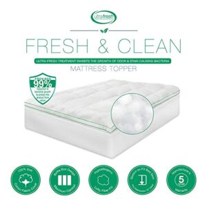 BioPEDIC Clean 2.5-Inch Fiberfill Mattress Topper Odor and Anti-Stain Ultra-Fresh Treated Fabric, King, White