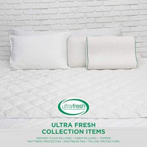 BioPEDIC Clean 2.5-Inch Fiberfill Mattress Topper Odor and Anti-Stain Ultra-Fresh Treated Fabric, Queen, White