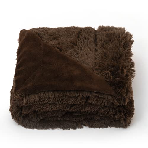 Cheer Collection Long Shaggy Hair Throw Blanket - Ultra Soft and Fuzzy - 50" x 60" inches, Chocolate
