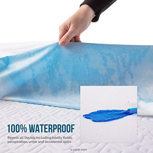 LUCID - LU20FF30ZT 2 Inch 5 Zone Lavender Memory Foam Mattress Topper - Full & Premium Hypoallergenic 100% Waterproof Mattress Protector - Universal Fit, Cotton Terry Top, Full