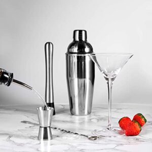 Cocktail Shaker Set, 6-Piece Bartender Kit Premium Shakers Bartending: Martini Shaker Measuring Jigger Mixing Spoon Muddler 2 Pourers Bar Tools Set with Built-in Bartender Strainer for Drink Shaker