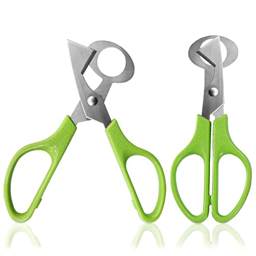 2Pcs Stainless Steel Quail Egg Scissors - Egg Slicer Pigeon Clipper Shell Separator Quail Egg Peeler Kitchen Scissor Egg Cracker - Scissor Cooking Cutter Quail Egg Cutter - Kitchen Shear for Salad