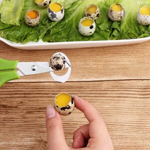 2Pcs Stainless Steel Quail Egg Scissors - Egg Slicer Pigeon Clipper Shell Separator Quail Egg Peeler Kitchen Scissor Egg Cracker - Scissor Cooking Cutter Quail Egg Cutter - Kitchen Shear for Salad