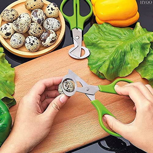 2Pcs Stainless Steel Quail Egg Scissors - Egg Slicer Pigeon Clipper Shell Separator Quail Egg Peeler Kitchen Scissor Egg Cracker - Scissor Cooking Cutter Quail Egg Cutter - Kitchen Shear for Salad