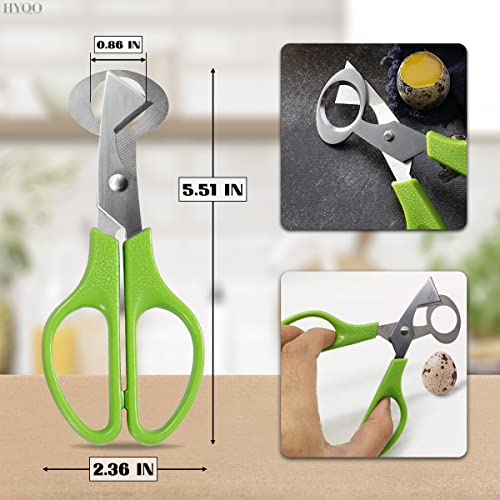 2Pcs Stainless Steel Quail Egg Scissors - Egg Slicer Pigeon Clipper Shell Separator Quail Egg Peeler Kitchen Scissor Egg Cracker - Scissor Cooking Cutter Quail Egg Cutter - Kitchen Shear for Salad