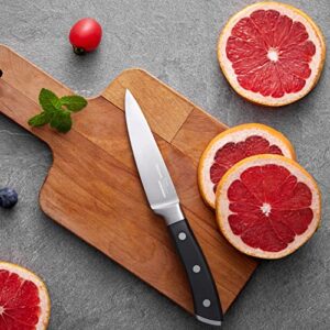 OAKSWARE Paring Knife, 4 inch Small Kitchen Knife Ultra Sharp German Stainless Steel Fruit and Vegetable Cutting Chopping Knives - Full Tang Ergonomic Handle