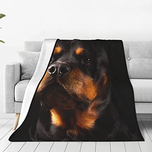 Rottweiler Cute Dog Charm Quiet Full Fleece Throw Cloak Wearable Blanket Flannel Fluffy Comforter Quilt Nursery Bedroom Bedding King Size Plush Soft Cozy Air Conditioner Blanket