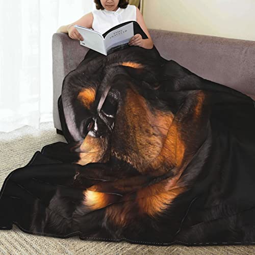 Rottweiler Cute Dog Charm Quiet Full Fleece Throw Cloak Wearable Blanket Flannel Fluffy Comforter Quilt Nursery Bedroom Bedding King Size Plush Soft Cozy Air Conditioner Blanket