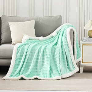 Exclusivo Mezcla Tassel Fleece Throw Blanket for Couch, Sofa, Bed, Soft Wrap Poncho Blanket, Lightweight and Warm (50x70 Inches, Light Green)