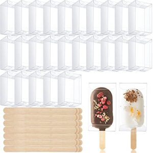 50 pieces ice cream cakesicle boxes set include 25 pieces clear pet cake boxes plastic candy gift bags and 25 pieces wooden sticks treat boxes for diy baking wedding baby shower kids birthday party