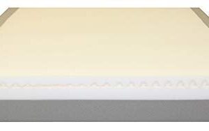Assure II Standard Seclusion/Mental Health Hospital Bed Mattress 80" x 36" x 6"
