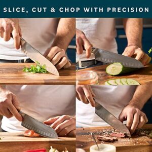 Home Hero Elite Series Santoku Knife 7 Inch - 67 Layer Japanese VG 10 Damascus Chef Knife - Ergonomic Rosewood Handles & Sheath - Ultra Sharp Asian Chef Knives & Kitchen Favorites 2023