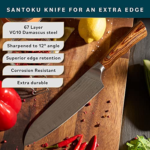 Home Hero Elite Series Santoku Knife 7 Inch - 67 Layer Japanese VG 10 Damascus Chef Knife - Ergonomic Rosewood Handles & Sheath - Ultra Sharp Asian Chef Knives & Kitchen Favorites 2023