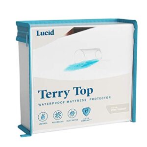 Lucid 4 Inch Bamboo Charcoal Memory Foam Mattress Topper - Queen & Premium Hypoallergenic 100% Waterproof Mattress Protector - Universal Fit, Cotton Terry Top, Queen