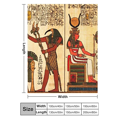 Fleece Throw Blanket for Couch Sofa Bed,Ancient Egyptian Pharaoh Hieroglyphics Vintage Mural Egypt Soft Toddler Blanket,Premium Anti-Static Throw for Home Office Travel Bedroom Living Room, 40"x50"