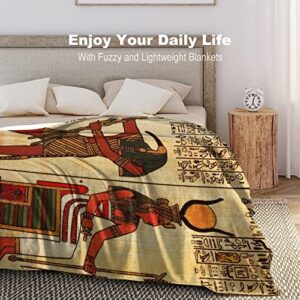 Fleece Throw Blanket for Couch Sofa Bed,Ancient Egyptian Pharaoh Hieroglyphics Vintage Mural Egypt Soft Toddler Blanket,Premium Anti-Static Throw for Home Office Travel Bedroom Living Room, 40"x50"