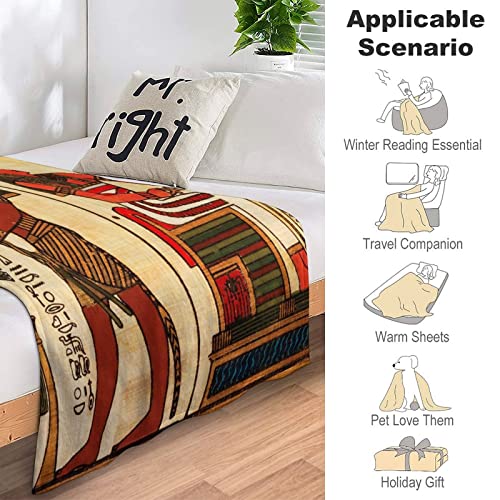 Fleece Throw Blanket for Couch Sofa Bed,Ancient Egyptian Pharaoh Hieroglyphics Vintage Mural Egypt Soft Toddler Blanket,Premium Anti-Static Throw for Home Office Travel Bedroom Living Room, 40"x50"