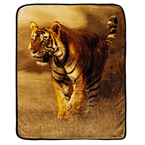 Northwest Savanna Tiger Oversized Raschel Throw Blanket, 60" x 80"