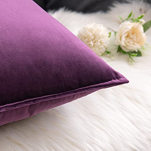 Comvii Purple Pillows - Decorative Pillows, Inserts & Covers (2 Throw Pillows + 2 Pillow Covers ) - Throw Pillows for Couch - Velvet Throw Pillows for Bed -flanged Pillow Covers 18x18 – Purple