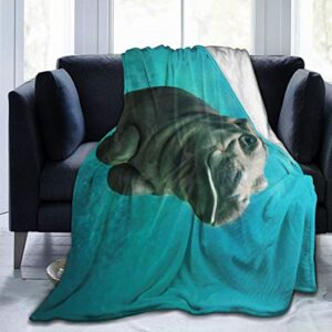 Funny Hippo Foldable Fleece Blanket Throw Lightweight Blanket Super Soft Cozy Bed Warm Blanket for Living Room/Bedroom All Season (Funny Hippo, 60" × 50")