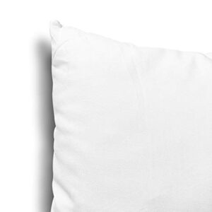 EDOW Throw Pillow Inserts, Set of 4 Lightweight Down Alternative Polyester Pillow, Couch Cushion, Sham Stuffer, Machine Washable. (White, 18x18)