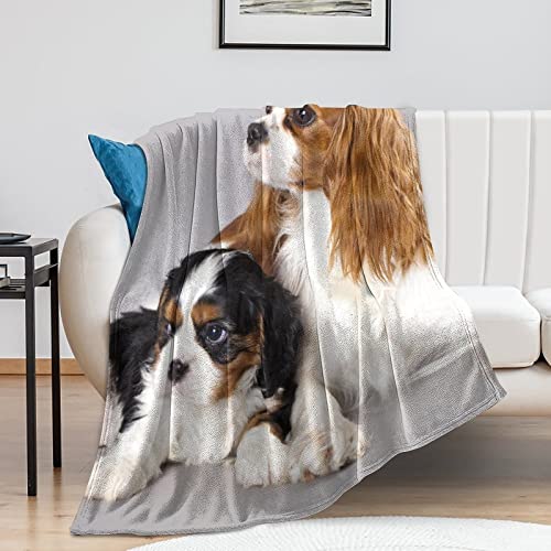 Cavalier King Charles Spaniel, Fleece Blanket Ultra-Soft Cozy Plush Blanket Throw Blankets Couch Chair Living Room Air Conditioning Cool Blankets, 40"*50"