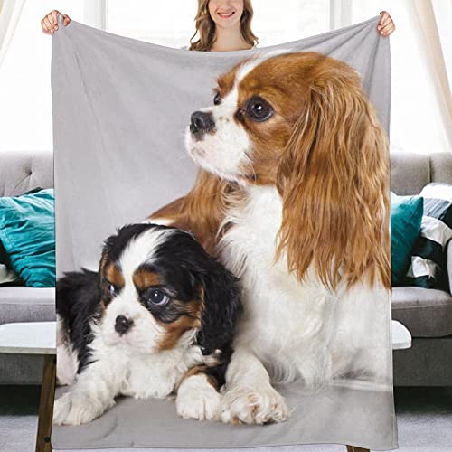 Cavalier King Charles Spaniel, Fleece Blanket Ultra-Soft Cozy Plush Blanket Throw Blankets Couch Chair Living Room Air Conditioning Cool Blankets, 40"*50"