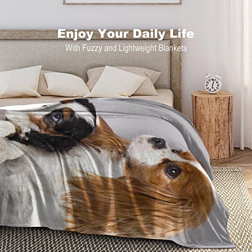 Cavalier King Charles Spaniel, Fleece Blanket Ultra-Soft Cozy Plush Blanket Throw Blankets Couch Chair Living Room Air Conditioning Cool Blankets, 40"*50"