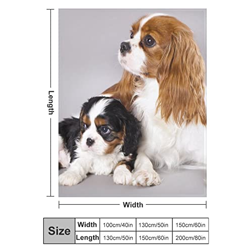 Cavalier King Charles Spaniel, Fleece Blanket Ultra-Soft Cozy Plush Blanket Throw Blankets Couch Chair Living Room Air Conditioning Cool Blankets, 40"*50"