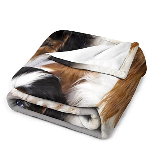 Cavalier King Charles Spaniel, Fleece Blanket Ultra-Soft Cozy Plush Blanket Throw Blankets Couch Chair Living Room Air Conditioning Cool Blankets, 40"*50"