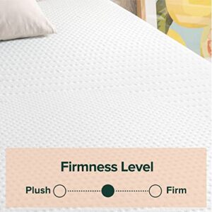 ZINUS 12 Inch Green Tea Essential Memory Foam /Bed-in-a-Box/Affordable Mattress/CertiPUR-US Certified, Queen, White