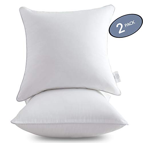 Leeden 20 x 20 Pillow Inserts (Set of 2) - Throw Pillow Inserts with 100% Cotton Cover - 20 Inch Square Interior Sofa Pillow Inserts - Decorative Pillow Insert Pair - White Couch Pillow