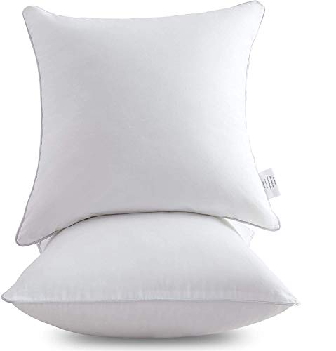 Leeden 20 x 20 Pillow Inserts (Set of 2) - Throw Pillow Inserts with 100% Cotton Cover - 20 Inch Square Interior Sofa Pillow Inserts - Decorative Pillow Insert Pair - White Couch Pillow