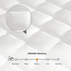 JINGWEI Queen Mattress, 10 Inch Innerspring Hybrid Mattress in a Box, Individually Pocket Coils for Motion Isolation & Cool Sleep, Queen Bed for Back Pain, Medium Firm, 60X80X10 INCH