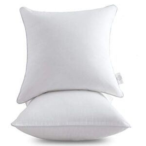 Oubonun 22 x 22 Pillow Inserts (Set of 2) - Throw Pillow Inserts with 100% Cotton Cover - 22 Inch Square Interior Sofa Pillow Inserts - Decorative Pillow Insert Pair - White Couch Pillow