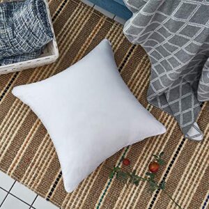 Oubonun 22 x 22 Pillow Inserts (Set of 2) - Throw Pillow Inserts with 100% Cotton Cover - 22 Inch Square Interior Sofa Pillow Inserts - Decorative Pillow Insert Pair - White Couch Pillow
