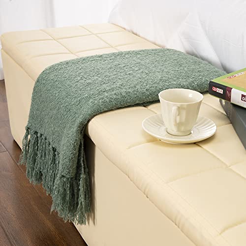 Gealaek Decorative Fluffy Faux Cashmere Throw Blanket Stone Green Fringe Lightweight Fuzzy Soft Cozy Throws for Sofa Bed Farmhouse Throw Blanket 50" x 60"