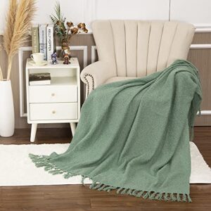 Gealaek Decorative Fluffy Faux Cashmere Throw Blanket Stone Green Fringe Lightweight Fuzzy Soft Cozy Throws for Sofa Bed Farmhouse Throw Blanket 50" x 60"