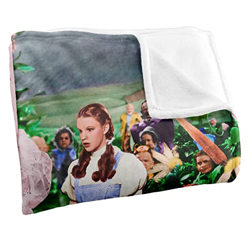 The Wizard of Oz Stanley Desantis Vintage Dorothy and Glinda Silky Touch Super Soft Throw Blanket 36" x 58"