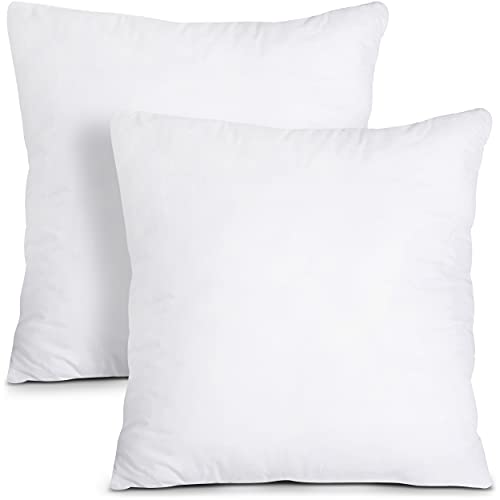 Utopia Bedding Throw Pillows Insert (Pack of 2, White) - 20 x 20 Inches Bed and Couch Pillows - Indoor Decorative Pillows