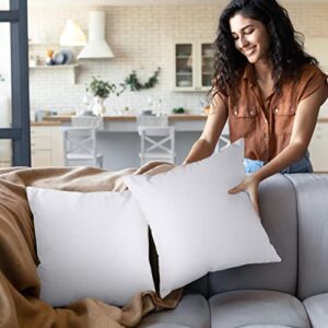 Utopia Bedding Throw Pillows Insert (Pack of 2, White) - 20 x 20 Inches Bed and Couch Pillows - Indoor Decorative Pillows