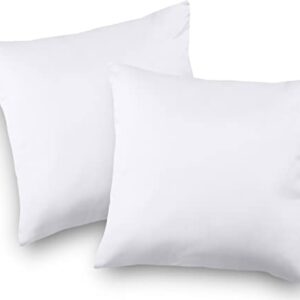 Utopia Bedding Throw Pillows Insert (Pack of 2, White) - 20 x 20 Inches Bed and Couch Pillows - Indoor Decorative Pillows