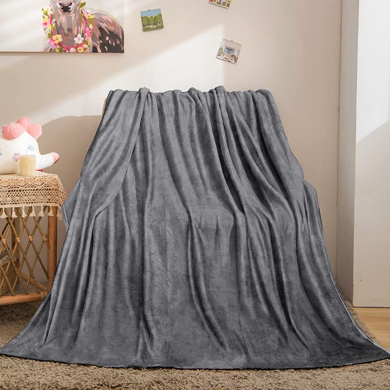 Fleece Blanket Throw Size Grey Lightweight Super Soft Cozy Luxury Bed Blanket Microfiber