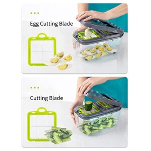 Chopper Vegetable Cutter 22-in-1, Mandoline Slicer with 13 Blades, with Container | Cutter | Egg Slicer | Cheese Grater | Veggie Dicer | Onion Mincer Chopper