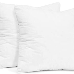 Empyrean Bedding Throw Pillow - 24 x 24 Inches Decorative Pillow Insert - Cotton Blend Outer Shell Indoor & Outdoor Pillows (Pack of 2, White)